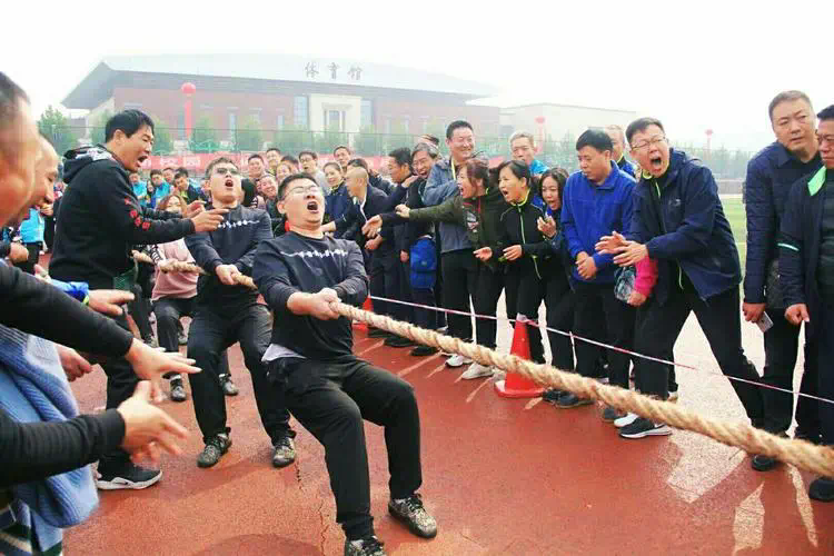 网球拍大学生用什么材质